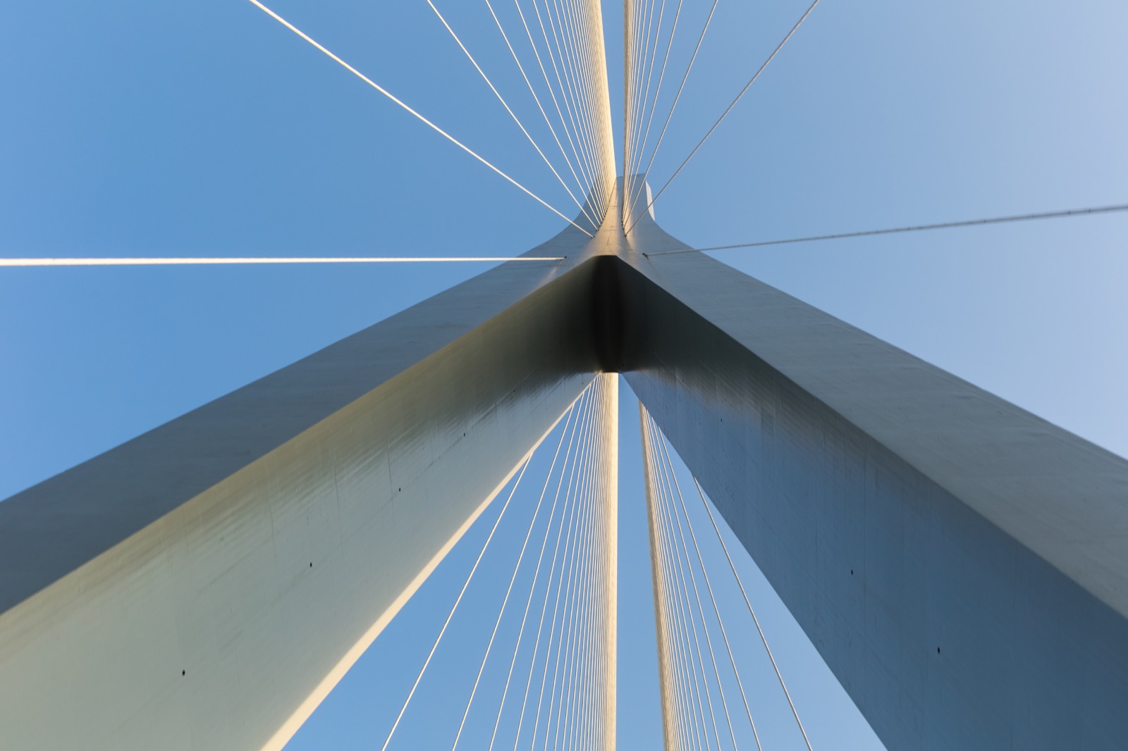 Architectural detail of a cable-stayed bridge
